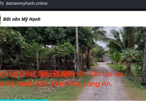 Temu và Shein thách thức doanh nghiệp Việt trong cuộc đua thương mại điện tử